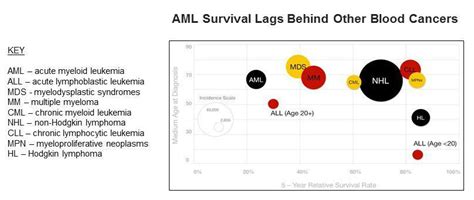 aml leukemia survival rate by age|UPDATED DATA ON BLOOD CANCERS .